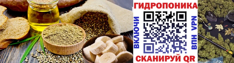 наркота  Вышний Волочёк  Cannafood марихуана 