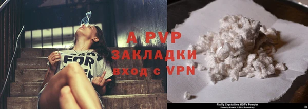 ECSTASY Майский