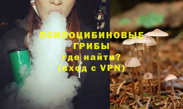 ECSTASY Майский