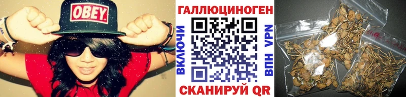 купить  сайты  Вышний Волочёк  blacksprut ССЫЛКА  Галлюциногенные грибы прущие грибы 